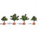 Busch 6619 Potted Citrus Trees