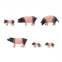 Faller 151916 Swabian-Hall Swine x 6