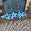 Juweela 23396 Garbage Bags Blue x 20