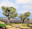 Noch 21995 Olive Trees x 2