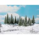 Noch 24681 Snowy Fir Trees x 16