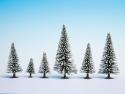 Noch 26828 Snow Fir Trees x 25
