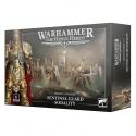 Warhammer HH 31-164 Sentinel Guard Sodality