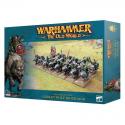 Warhammer TOW 09-09 Goblin Wolf Rider Mob